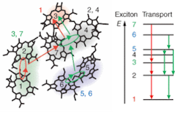 Th 0506lfne11 Th 0506lfne11