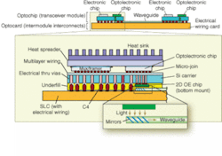 Th 0507lf06f2 Th 0507lf06f2