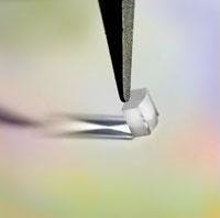 Th 0507lfwkaleido Th 0507lfwkaleido