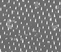 Th 0507lfwnwsbk2 Th 0507lfwnwsbk2