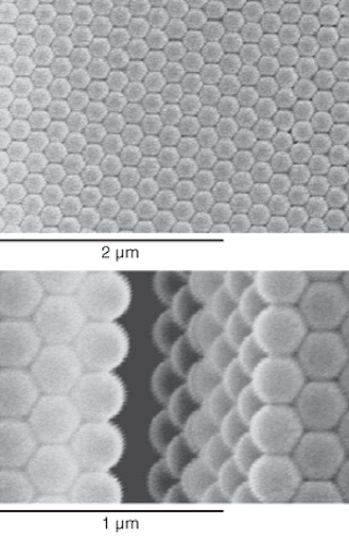 An organic photonic crystal (PC) used to effect optical switching is composed of polystyrene spheres with a diameter of 240 nm. Subpicosecond switching at visible wavelengths is achieved by a shift of the photonic bandgap under optical pumping. The surface structure (top) and cross section (bottom) of the organic PC is revealed through scanning-electron microscopy.