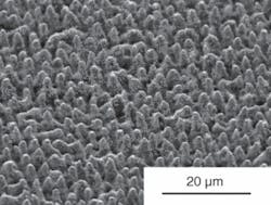 Th 0509lfnb Th 0509lfnb