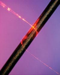 FIGURE 4. A silica nanofiber made at Harvard lies on top of a human hair for scale. Note how tightly the nanofiber can be bent. FIGURE 4. A silica nanofiber made at Harvard lies on top of a human hair for scale. Note how tightly the nanofiber can be bent.