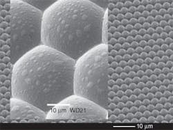 FIGURE 1. A microlenticular array for display applications is fabricated from polymer by excimer-laser synchronized image scanning. This array will be used to create a master, from which molds will be made that will allow large-volume manufacture of the arrays. For comparison, the compound eye of a fly is shown (inset). FIGURE 1. A microlenticular array for display applications is fabricated from polymer by excimer-laser synchronized image scanning. This array will be used to create a master, from which molds will be made that will allow large-volume manufacture of the arrays. For comparison, the compound eye of a fly is shown (inset).