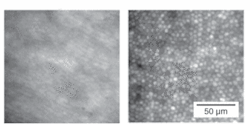 Th 0511lf01f3 Th 0511lf01f3