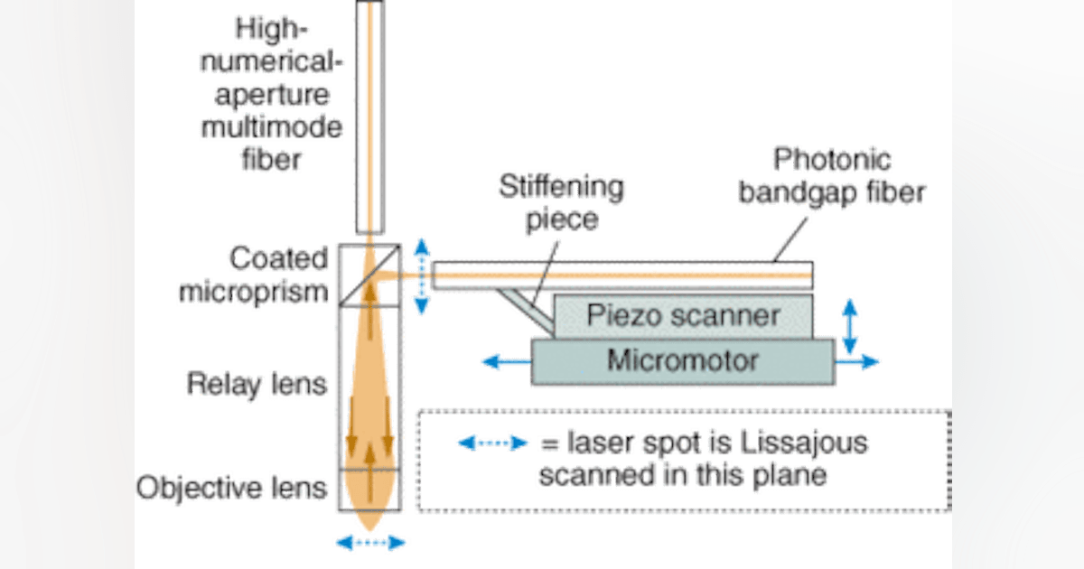 Two-photon fluorescence microendoscopy aids cellular research | Laser ...