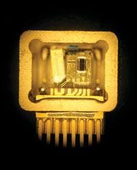 Th 0511lfwavo Th 0511lfwavo