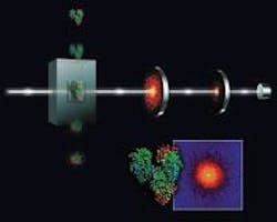 The LCLS x-ray-laser beam will enable 3-D visualization of protein structures that cannot be crystallized for study using existing methods. Proteins falling through the beam will yield a series of diffraction patterns-generated as the molecules fall through different positions and are merged through computer reconstruction-to visualize protein structures. The LCLS x-ray-laser beam will enable 3-D visualization of protein structures that cannot be crystallized for study using existing methods. Proteins falling through the beam will yield a series of diffraction patterns-generated as the molecules fall through different positions and are merged through computer reconstruction-to visualize protein structures.