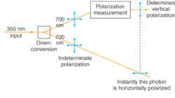 FIGURE 1. The polarization of entangled photons is indeterminate until a measurement is made, as shown at the top. At the instant the measurement is made the polarization of the second photon becomes orthogonal to that of the first. Entangled photons can also be generated with the same polarization.