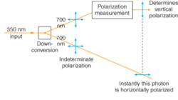 FIGURE 1. The polarization of entangled photons is indeterminate until a measurement is made, as shown at the top. At the instant the measurement is made the polarization of the second photon becomes orthogonal to that of the first. Entangled photons can also be generated with the same polarization. FIGURE 1. The polarization of entangled photons is indeterminate until a measurement is made, as shown at the top. At the instant the measurement is made the polarization of the second photon becomes orthogonal to that of the first. Entangled photons can also be generated with the same polarization.