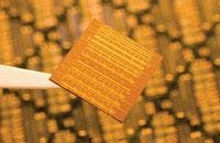 FIGURE 3. Intel researchers have developed the world's first silicon chip capable of producing a high-quality continuous laser beam. Eight lasers are built into a single silicon chip measuring 16 × 16 mm. FIGURE 3. Intel researchers have developed the world's first silicon chip capable of producing a high-quality continuous laser beam. Eight lasers are built into a single silicon chip measuring 16 × 16 mm.