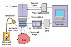 FIGURE 1. A liquid-crystal tunable-filter (LCTF)-based multispectral imaging system acquires spectral scattering images from fruit. FIGURE 1. A liquid-crystal tunable-filter (LCTF)-based multispectral imaging system acquires spectral scattering images from fruit.