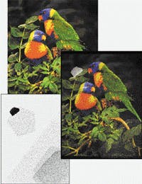 Th 0600soft2 Th 0600soft2