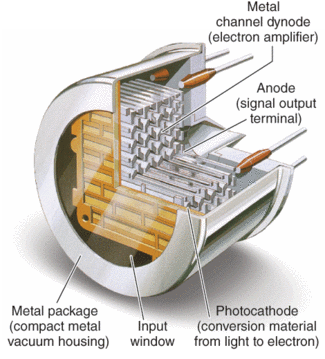 Structure Of A Pmt The Pmt Consists Of A Photocathode To