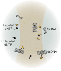 Th 0601lf07f3 Th 0601lf07f3