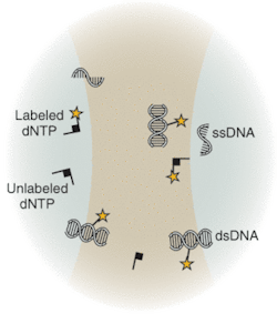 Th 0601lf07f3 Th 0601lf07f3