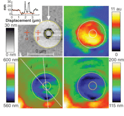 An image of a circular opening in a chromium film on a glass slide is recorded as a shear-force topography image (upper left; inset shows elevated annulus in the central region caused by the chromium sample fabrication process) and as the total intensity integrated over the wavelength range 450 to 750 nm for each pixel (upper right). Mathematical analysis of the central wavelength (lower left) and FWHM of the plasmon resonance from the gold nanoparticle in the presence of the sample (lower right) clearly show the circular openings (circles are traced as a guide to the eye). An image of a circular opening in a chromium film on a glass slide is recorded as a shear-force topography image (upper left; inset shows elevated annulus in the central region caused by the chromium sample fabrication process) and as the total intensity integrated over the wavelength range 450 to 750 nm for each pixel (upper right). Mathematical analysis of the central wavelength (lower left) and FWHM of the plasmon resonance from the gold nanoparticle in the presence of the sample (lower right) clearly show the circular openings (circles are traced as a guide to the eye).