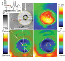 An image of a circular opening in a chromium film on a glass slide is recorded as a shear-force topography image (upper left; inset shows elevated annulus in the central region caused by the chromium sample fabrication process) and as the total intensity integrated over the wavelength range 450 to 750 nm for each pixel (upper right). Mathematical analysis of the central wavelength (lower left) and FWHM of the plasmon resonance from the gold nanoparticle in the presence of the sample (lower right) clearly show the circular openings (circles are traced as a guide to the eye).