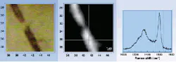 Optical and Raman images (top and center, respectively) as well as Raman spectra (bottom) display the dominant features of preserved biogenic carbon in a fossil bacterial filament about 2.1 billion years old and 1 µm in diameter.