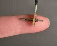 Th 0602lfwnewscale Th 0602lfwnewscale