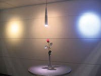 FIGURE 3. On the wall of a display, two LED Lexel lights from TIR Systems are shown with a hologen light (center); one Lexel provides “warm” light (left) and one provides brighter light (right). Lexel-based luminaires offer color temperature control, are fully dimmable, and emit very little heat; the rose had not wilted after four days under a Lexel light, as it would have under the heat of a halogen light. FIGURE 3. On the wall of a display, two LED Lexel lights from TIR Systems are shown with a hologen light (center); one Lexel provides “warm” light (left) and one provides brighter light (right). Lexel-based luminaires offer color temperature control, are fully dimmable, and emit very little heat; the rose had not wilted after four days under a Lexel light, as it would have under the heat of a halogen light.