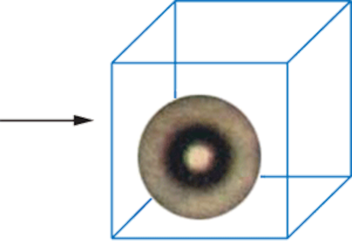 Th 0603lfoe02f1