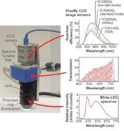Th 0604lf08f1 Th 0604lf08f1