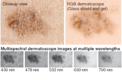 Th 0604lf08f2 Th 0604lf08f2