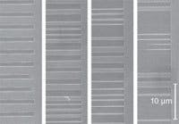 Th 0604lfnbf1 Th 0604lfnbf1