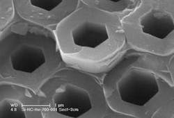 A scanning electron micrograph shows hexagonal silicon tubes in a honeycomb MOF template. A scanning electron micrograph shows hexagonal silicon tubes in a honeycomb MOF template.