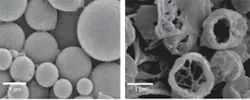 Microencapsulated resorbable tattoo inks developed for safer application and improved removal involve microspheres containing discrete absorption pigments that can be targeted by a specific laser wavelength (left). Laser treatment causes the microcapsules to break, releasing the biocompatible pigments, which are then resorbed by the body (right).