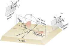 Th 0606lfw12f1 Th 0606lfw12f1