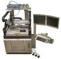 Th 0606lfw3edge Th 0606lfw3edge