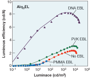 FIGURE 2. Luminous efficiency is plotted as a function of luminance for OLEDs containing various types of electron-blocking layer (EBL).The DNA-containing bioLED is more efficient than its conventional counterparts by a factor of 2 to 10. In this case, both control and DNA OLEDs also contained an electron-transport layer of aluminum tris(8-hydroxyquinoline), or Alq3. FIGURE 2. Luminous efficiency is plotted as a function of luminance for OLEDs containing various types of electron-blocking layer (EBL).The DNA-containing bioLED is more efficient than its conventional counterparts by a factor of 2 to 10. In this case, both control and DNA OLEDs also contained an electron-transport layer of aluminum tris(8-hydroxyquinoline), or Alq3.