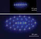 FIGURE 2. A chain (top) and “crystal” (bottom) of fluorescing magnesium ions in a Paul trap are prepared by laser cooling using the UV laser system. FIGURE 2. A chain (top) and “crystal” (bottom) of fluorescing magnesium ions in a Paul trap are prepared by laser cooling using the UV laser system.
