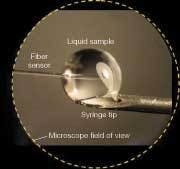 FIGURE 2. Researchers at Virginia Tech have fabricated a low-cost, user-friendly sensor for biomedical and biodefense applications. The probe features a Fabry-Perot interferometer at the tip of a 125 µm fiber that can be placed directly into a sample to detect the presence of certain bacteria, antibodies, or DNA strands. FIGURE 2. Researchers at Virginia Tech have fabricated a low-cost, user-friendly sensor for biomedical and biodefense applications. The probe features a Fabry-Perot interferometer at the tip of a 125 µm fiber that can be placed directly into a sample to detect the presence of certain bacteria, antibodies, or DNA strands.