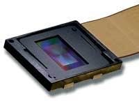 Th 0607lfwholoeye Th 0607lfwholoeye