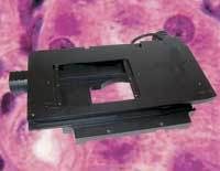 Th 0607lfwpriorsci Th 0607lfwpriorsci