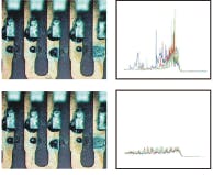 Th 0608lf02f4 Th 0608lf02f4