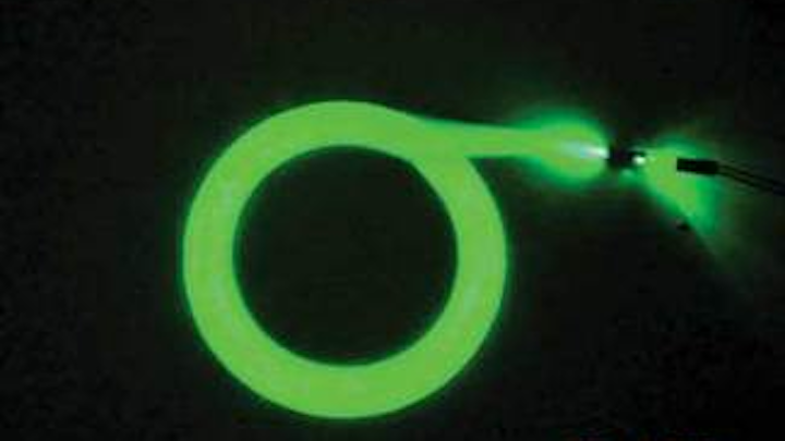 Th 0608lfwn10