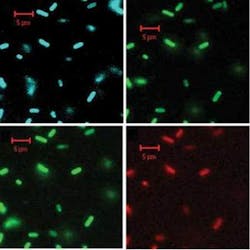 Th 0608lfwnwsbk1 Th 0608lfwnwsbk1
