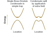 FIGURE 2. An initial single Bose-Einstein condensate is split by changing the magnetic field applied to the trap. The condensate is suspended below an atom chip, confined by the magnetic field from current passing through a pair of conductors in experiments at the University of Heidelberg [5].