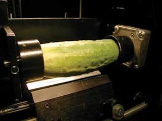 FIGURE 1. Resting in two conical holders, a pickling cucumber is ready to undergo hyperspectral imaging.