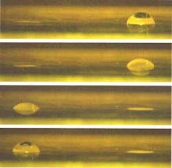 FIGURE 2. Two adjacent liquid microlenses are driven by hydrogels that respond oppositely to changes in pH. The initial pH-12 buffer was replaced with a pH-2 buffer; images from top to bottom correspond to times of 0, 13, 30, and 56 seconds after the change in buffer. Each lens is 0.5 mm across. FIGURE 2. Two adjacent liquid microlenses are driven by hydrogels that respond oppositely to changes in pH. The initial pH-12 buffer was replaced with a pH-2 buffer; images from top to bottom correspond to times of 0, 13, 30, and 56 seconds after the change in buffer. Each lens is 0.5 mm across.