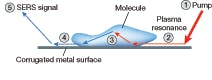 FIGURE 2. SERS is a sampling process that involves an electrical field formed at the nanoscale when photons interact with a metal surface. Laser energy strikes a colloid or roughened metal substrate (1), exciting the surface plasmons (2); photons are scattered by the reporter molecule (3), and the Raman light is transferred back to the plasmons (4), where it can be detected using a standard spectrometer.