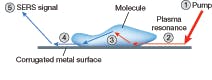 FIGURE 2. SERS is a sampling process that involves an electrical field formed at the nanoscale when photons interact with a metal surface. Laser energy strikes a colloid or roughened metal substrate (1), exciting the surface plasmons (2); photons are scattered by the reporter molecule (3), and the Raman light is transferred back to the plasmons (4), where it can be detected using a standard spectrometer. FIGURE 2. SERS is a sampling process that involves an electrical field formed at the nanoscale when photons interact with a metal surface. Laser energy strikes a colloid or roughened metal substrate (1), exciting the surface plasmons (2); photons are scattered by the reporter molecule (3), and the Raman light is transferred back to the plasmons (4), where it can be detected using a standard spectrometer.