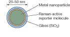 FIGURE 3. Oxonica nanotags are silica-encapsulated gold nanoparticles, with a defined Raman-active reporter molecule attached, that deliver the multianalyte detection performance of SERS in a flexible reagent format. FIGURE 3. Oxonica nanotags are silica-encapsulated gold nanoparticles, with a defined Raman-active reporter molecule attached, that deliver the multianalyte detection performance of SERS in a flexible reagent format.