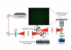 FIGURE 1. In the SS-MMM setup, a multifocal array created by a diffractive optical element (DOE) is scanned by a two-mirror galvanometer. Separate waveforms stochastically drive each axis. The inset shows a multiphoton-fluorescence image of the array (6 µm spot spacing) generated in a solution of Rhodamine 6G at the sample focal plane. FIGURE 1. In the SS-MMM setup, a multifocal array created by a diffractive optical element (DOE) is scanned by a two-mirror galvanometer. Separate waveforms stochastically drive each axis. The inset shows a multiphoton-fluorescence image of the array (6 µm spot spacing) generated in a solution of Rhodamine 6G at the sample focal plane.