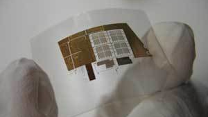 Th 0610lfw Nwsbk1