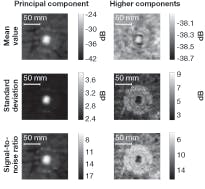 Millimeter-wave images of the mean, the standard deviation, and the signal-to-noise ratio for a TS-50 land mine are calculated for the principal component and higher components. Millimeter-wave images of the mean, the standard deviation, and the signal-to-noise ratio for a TS-50 land mine are calculated for the principal component and higher components.
